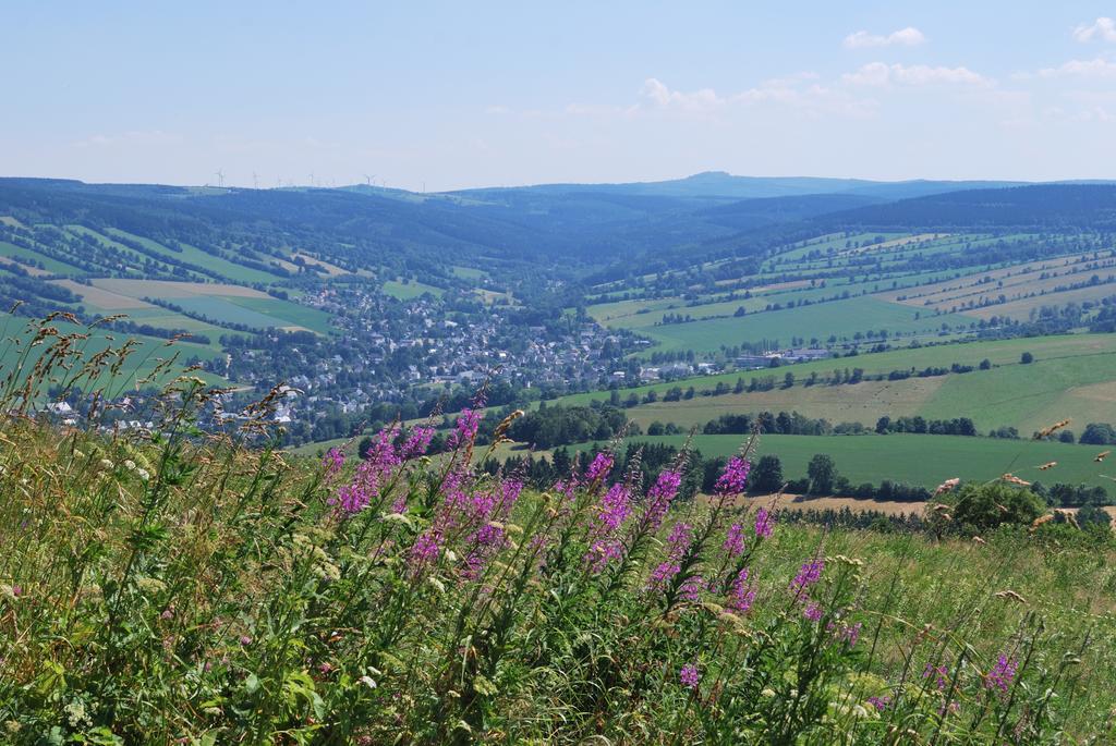 Familien-Ferienwohnung Haustein Konigswalde Bilik gambar